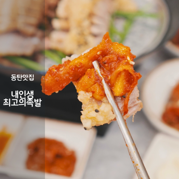  동탄 남광장 맛집 회식 내인생최고의족발 마늘보쌈