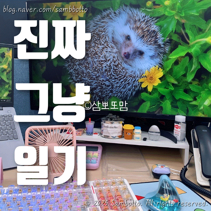 진짜 그냥 일기 | 밀린 일주일 일기 쓰러 옴