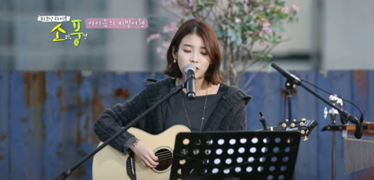  가을에 듣는 명곡, 아이유-가리워진 길