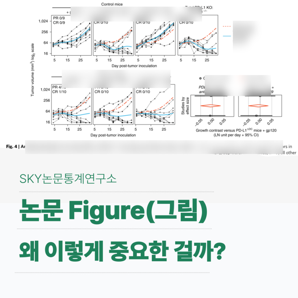 논문 Figure(그림), 왜 이렇게 중요한 걸까?