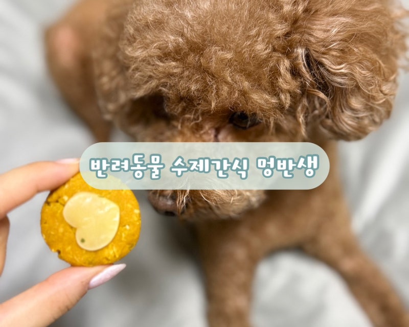 사진 4