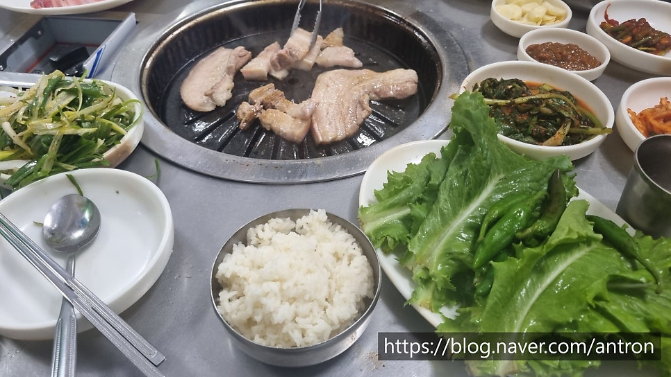 꿀꿀흑돼지 사진 5