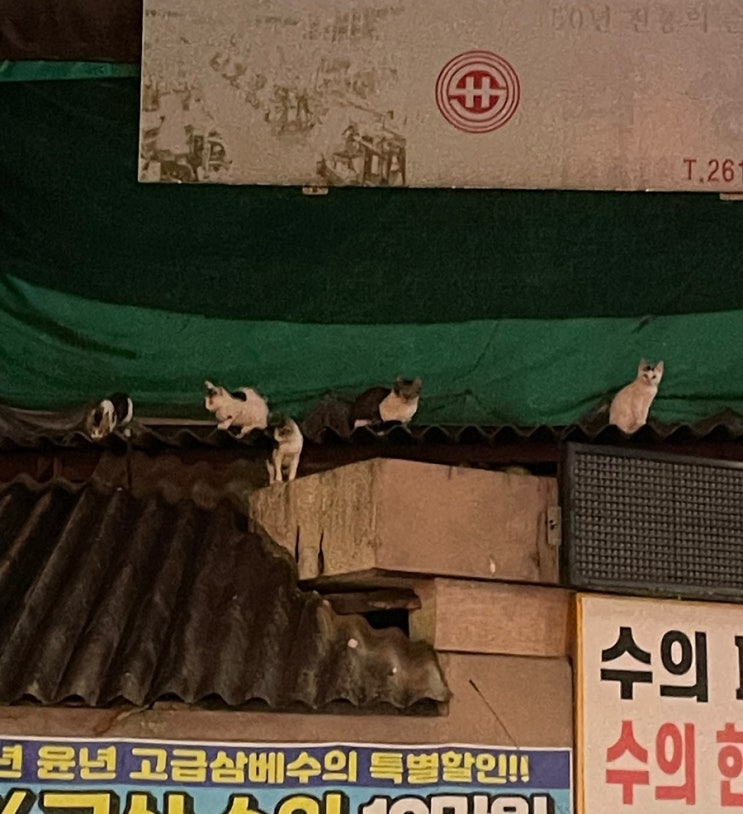  그런 세상을 꿈꾸고 말았다