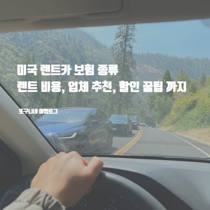  미국 렌트카 보험 종류, 비용, 업체 추천, 할인 꿀팁 까지