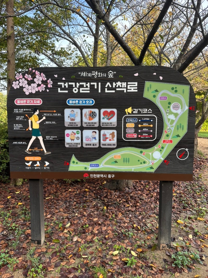 영종도 세계평화의 숲 산책기