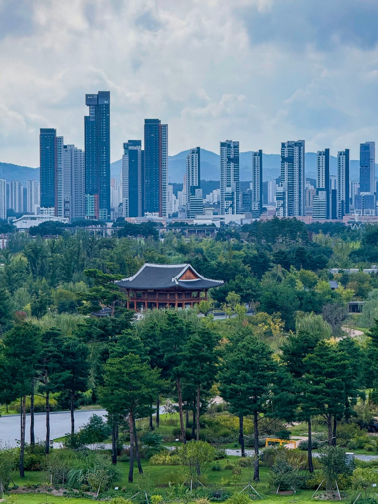  세종시 아이와 볼만한곳,국립세종수목원(주차, 입장료, 전망대)