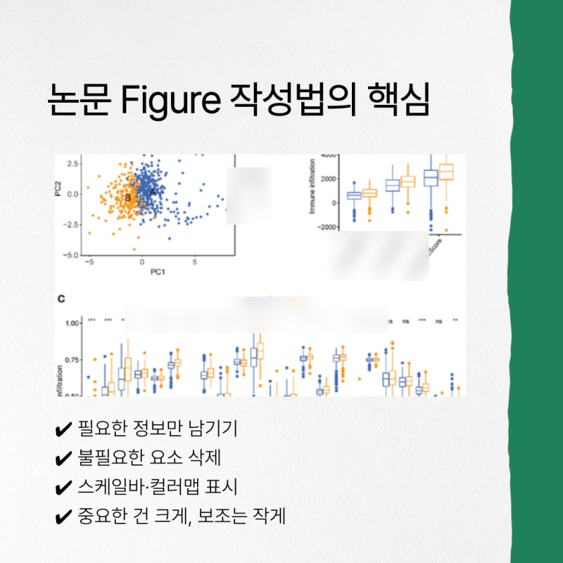 관련 이미지