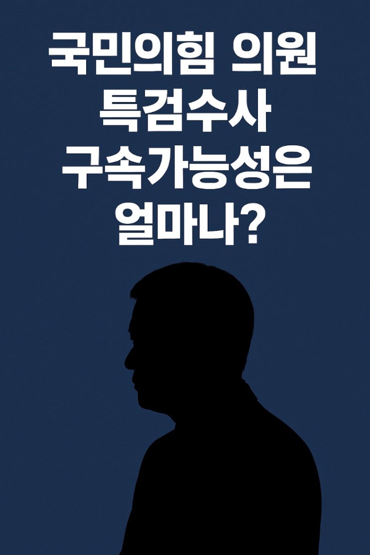 의원은 누구 <b>구속</b>가능성은 얼마나될까? (<b>추경호</b> 권성동 나경원)