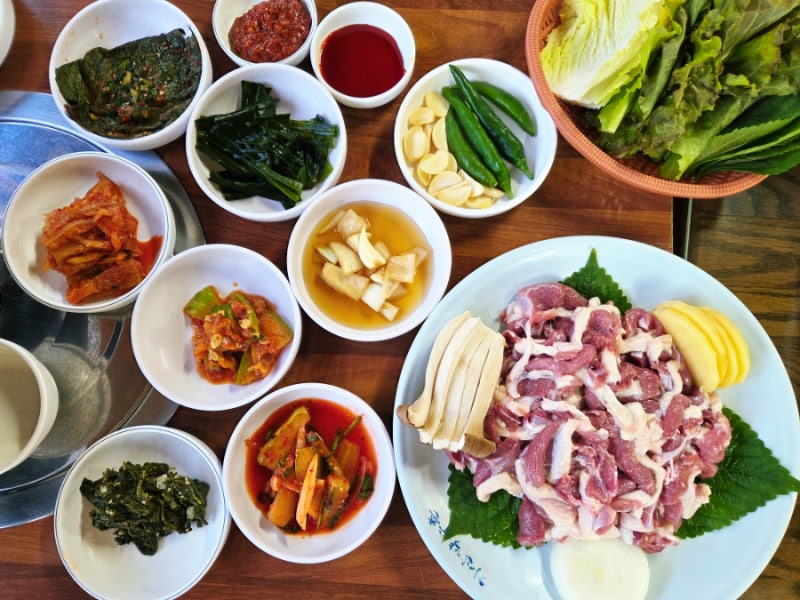 사진 5