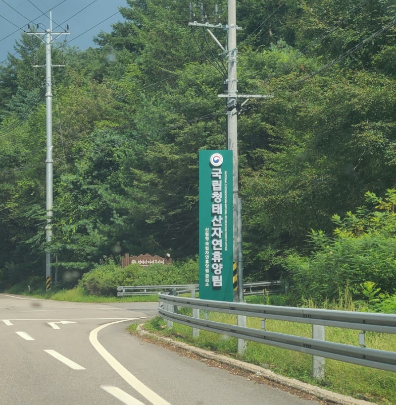 국립청태산자연휴양림 숲속의 집 은행나무 숙박 후기