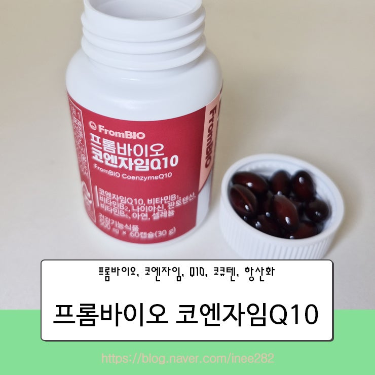 프롬바이오 코엔자임Q10 효능, 복용팁, 부작용