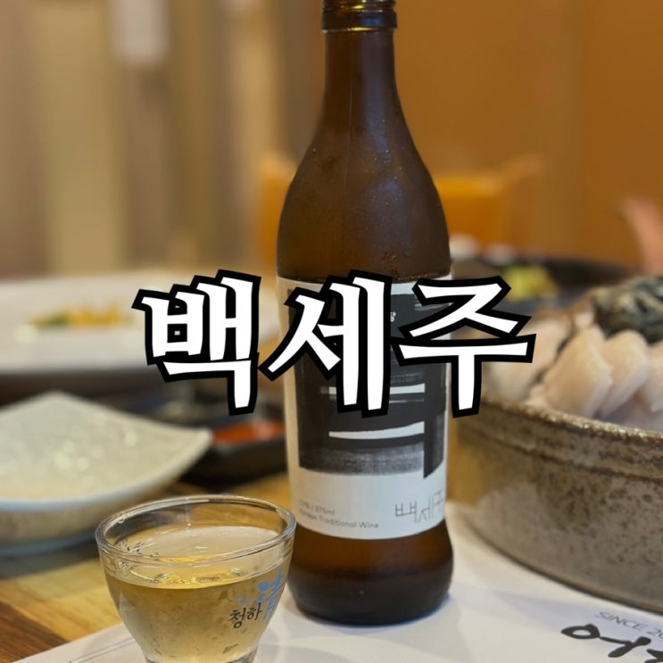  국순당 백세주 솔직 후기 | 가격·맛·안주 조합 총정리
