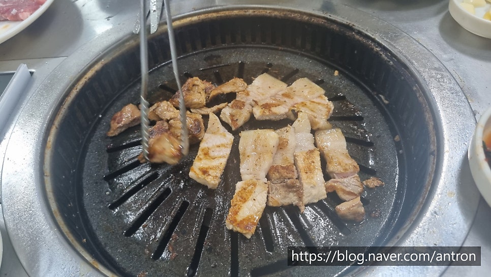 꿀꿀흑돼지 사진 2