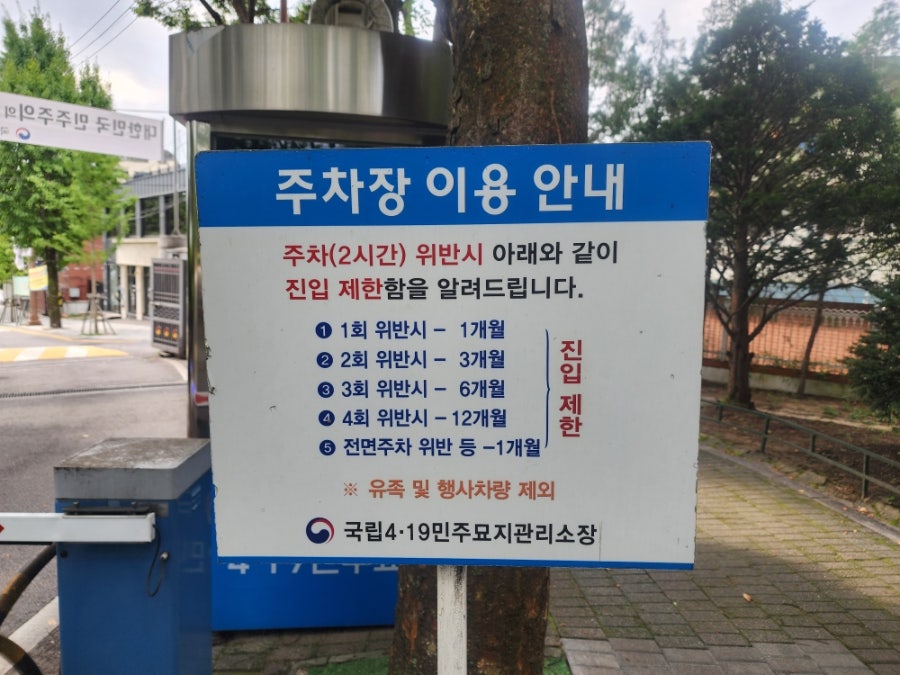 봄타코 사진 4