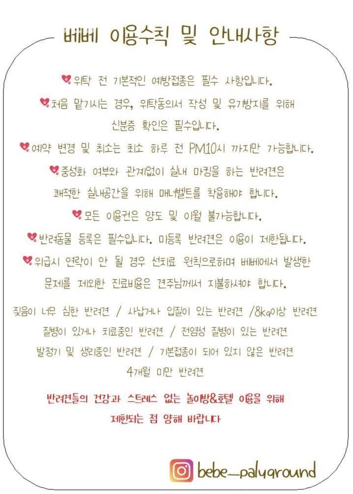 사진 3