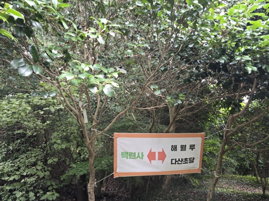고향집농박 사진 4