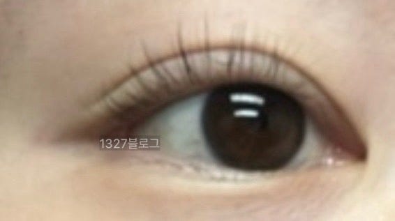 [리뷰] 코스노리 이지 아이래쉬 셀프속눈썹펌 키트 리뷰 (내돈내산)
