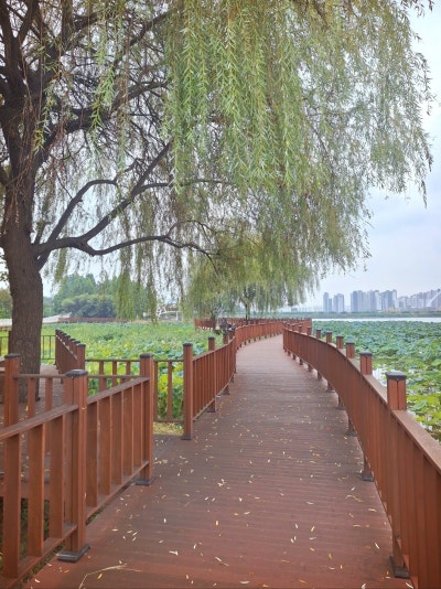 사진 8