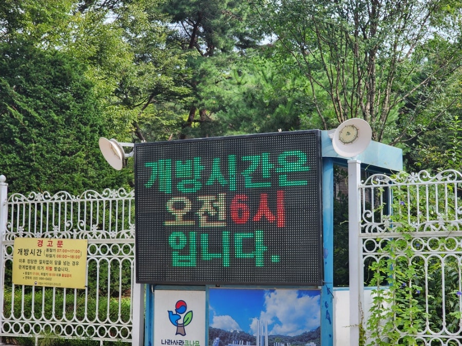 봄타코 사진 6