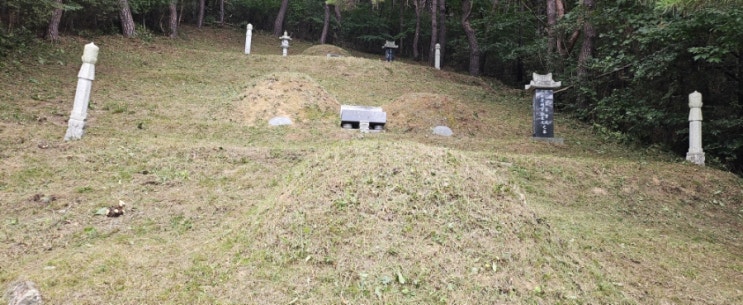  울주군두동면구미리175-1 봉분 6기 230평 벌초제초대행("울산예초대행")