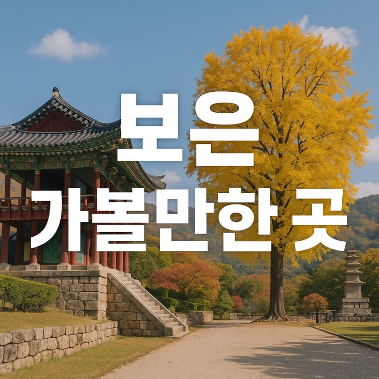  보은 가볼만한 곳 총정리  자연과 전통이 살아 숨 쉬는 힐링 여행지