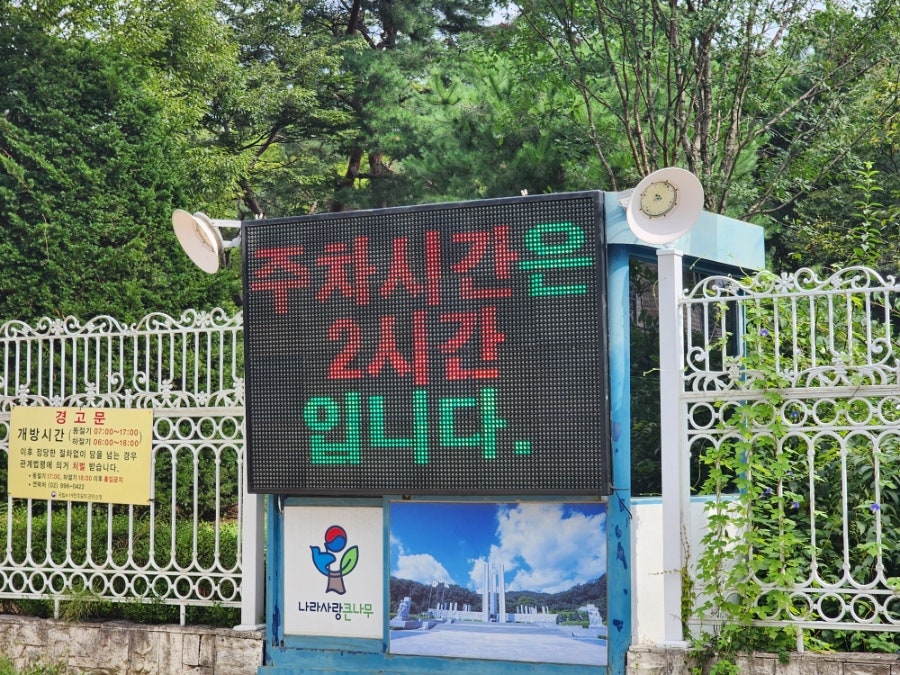 봄타코 사진 5