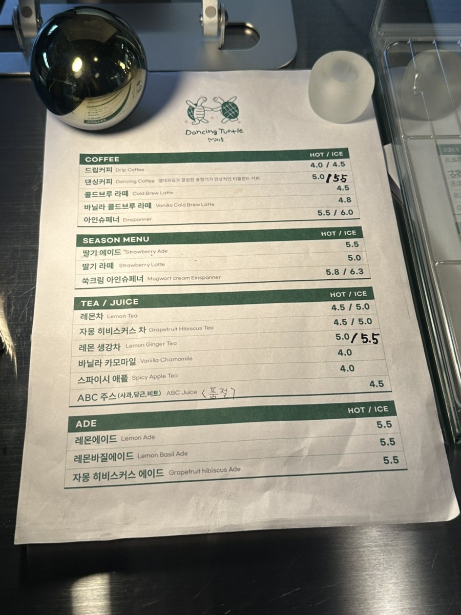 댄싱터틀 사진 6