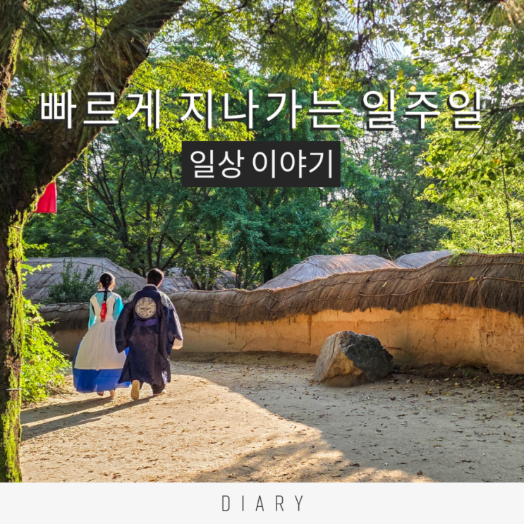  여러 가지 일들이 많았던 한 주 정리