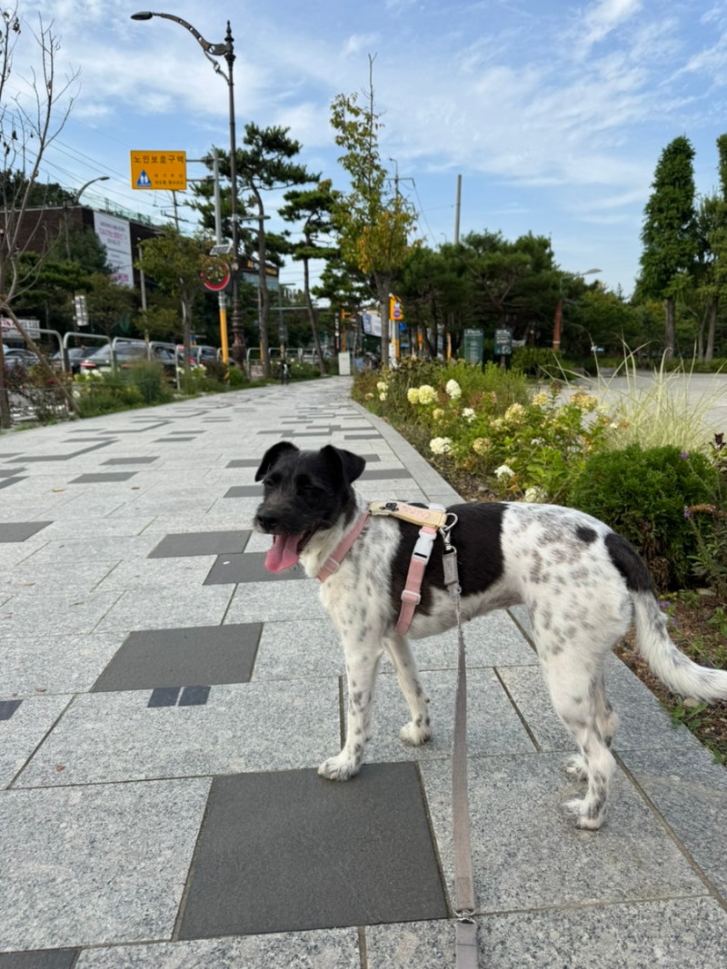 사진 5