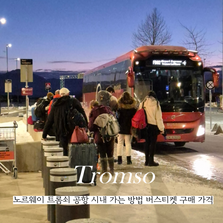  노르웨이 트롬쇠 공항에서 시내 가는 방법 버스티켓 구매 가격