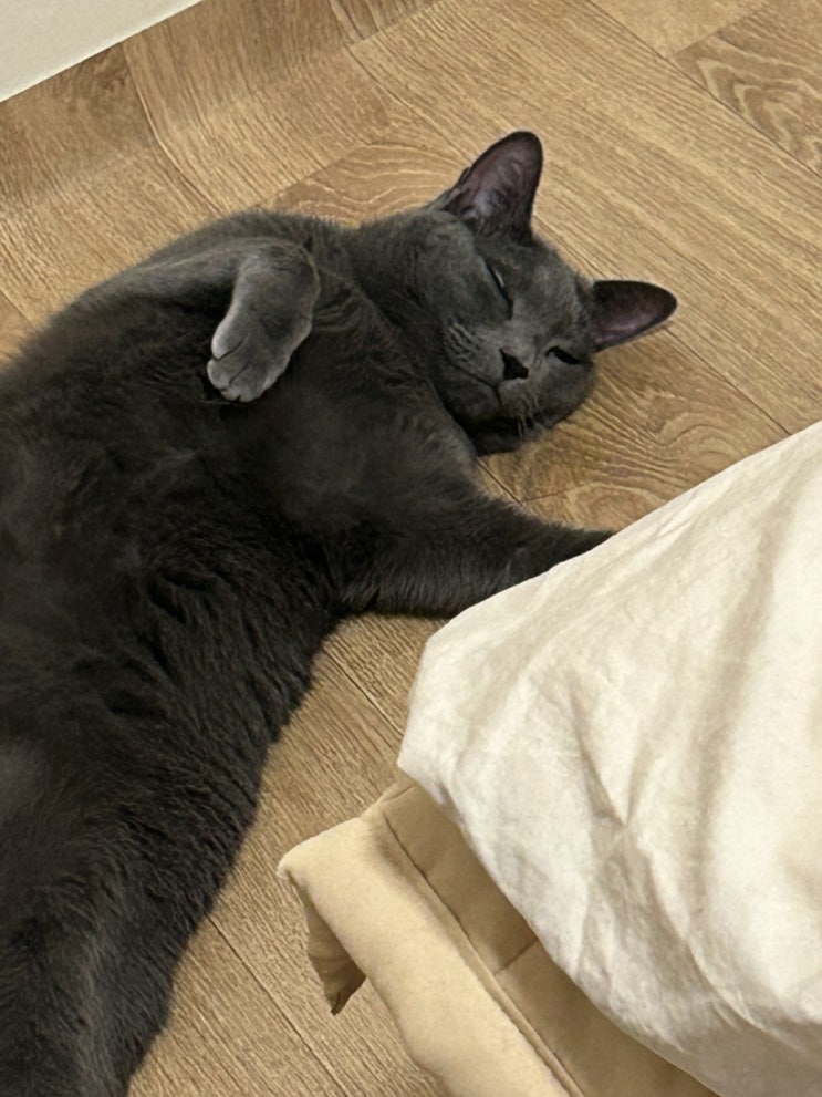  역대급 바쁜 한주