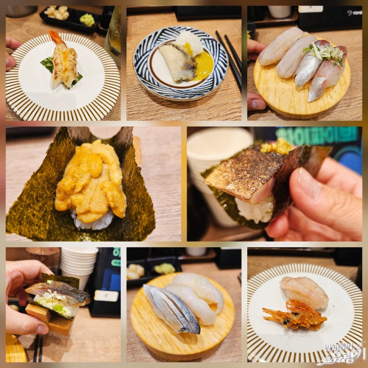  부산 회전 초밥 스시키쿠 좋은 재료 가성비 좋은 부산역 스시
