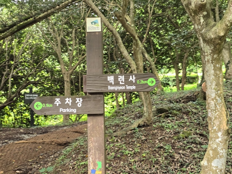 고향집농박 사진 3