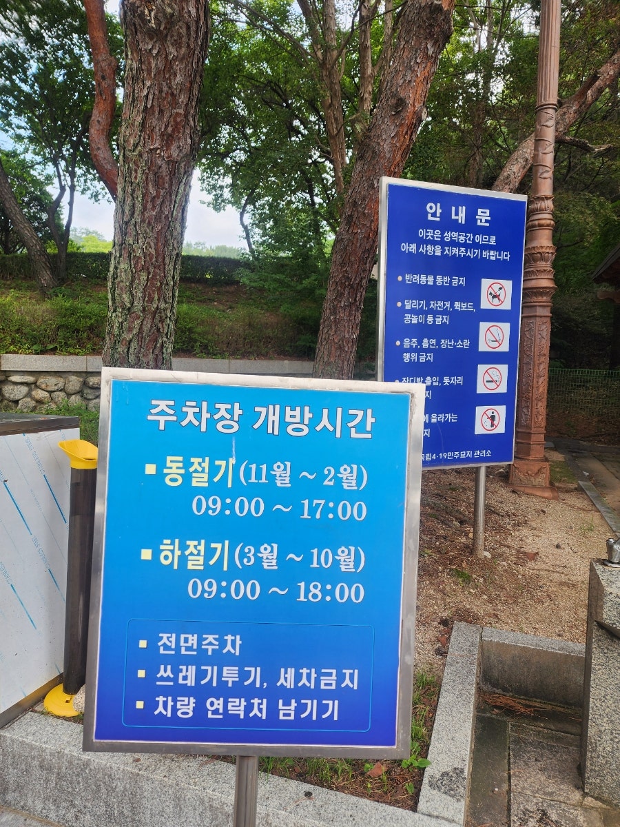 봄타코 사진 3