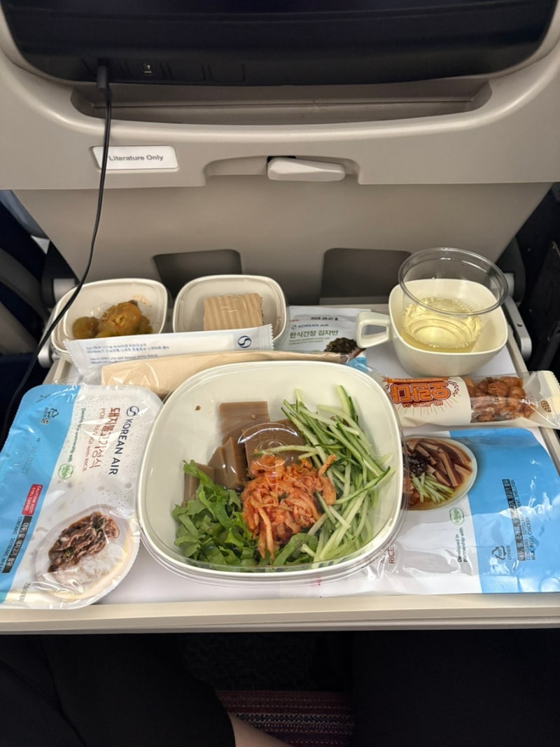 대한항공-마드리드 직항 눕코노미 성공과 기내식 꿀팁(메뉴 조회, 특별 기내식)