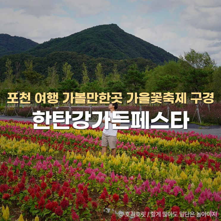  포천 여행 가볼만한곳 한탄강 가든페스타 가을꽃축제 구경