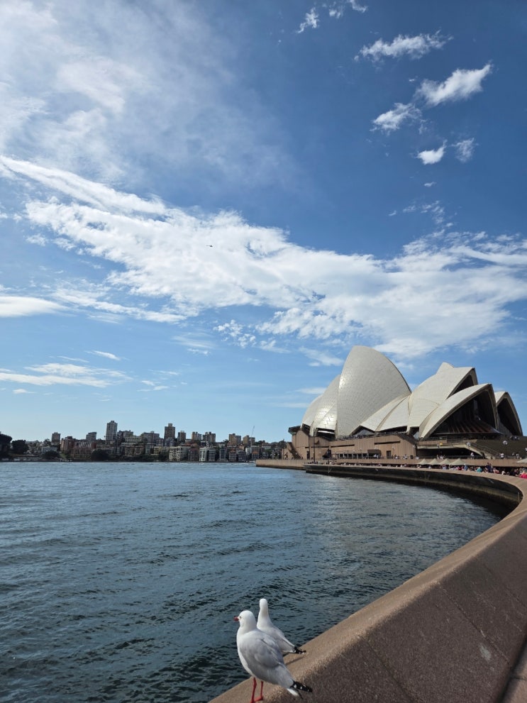  Sydney(2): Circular Quay, Darling Harbour
