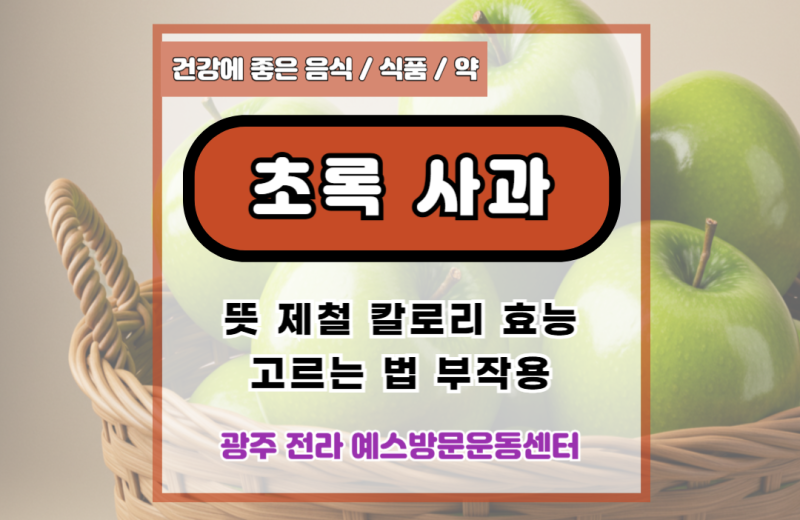 초록 사과 뜻 제철 칼로리 효능 고르는법 부작용