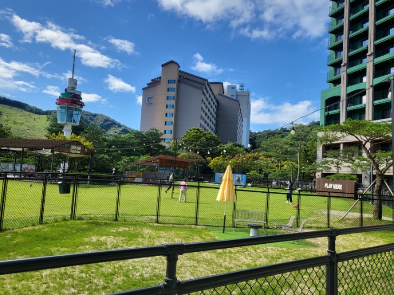 사진 8