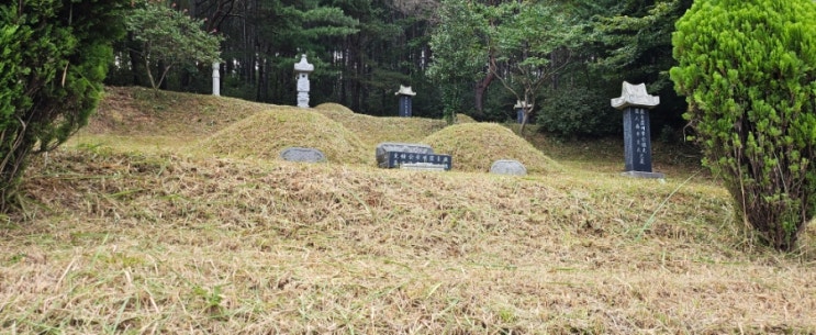  울산울주군두동면구미리산116-1 봉분5기 150평 벌초제초대행("울산벌초대행")