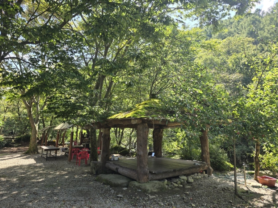 쉴만한물가 사진 5