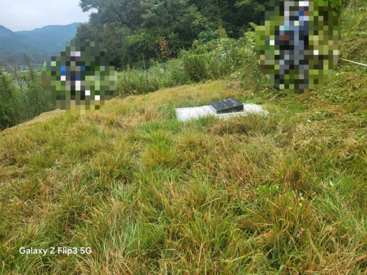  2025년 김천시 대덕면 벌초 고인돌장묘개발 #김천벌초 #선산벌초 #구미벌초 #황간벌초 #영동벌초 #성주벌초 #상주벌초 #벌초대행 #벌초 #추석벌초 #손없는날