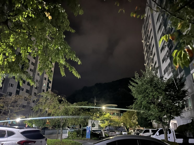 아주 이른 새벽부터 움직이는 건 이제 힘든 나이가 되었어요.
