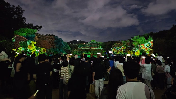  서울 산책하기 좋은 야경 창경궁 물빛연화 위치 시간 관람료