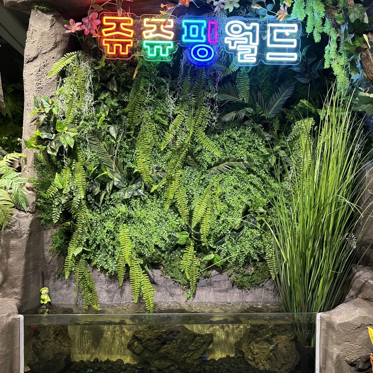  안성키즈카페 쥬쥬핑월드 실내동물원 아이와 교감