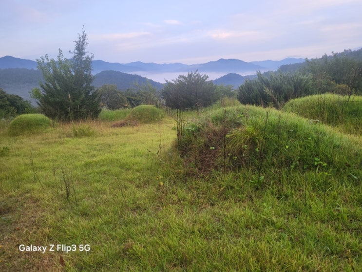  2025년 김천시 대덕면 벌초 고인돌장묘개발 #김천벌초 #선산벌초 #구미벌초 #황간벌초 #영동벌초 #성주벌초 #상주벌초 #벌초대행 #벌초 #추석벌초 #손없는날 #윤달 #벌초