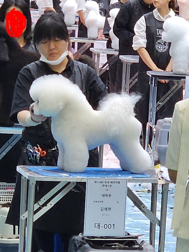사진 2