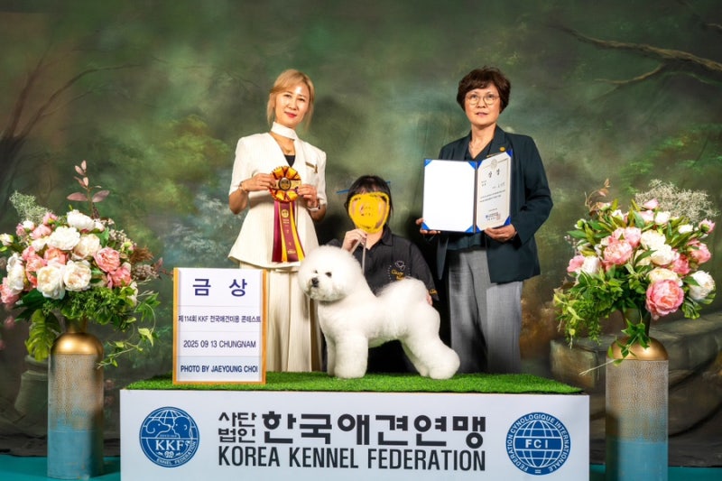 루틴펫살롱