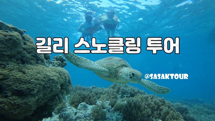  길리 스노클링 투어｜길리 3대 섬 호핑투어 & 바다거북 체험 – 사삭투어