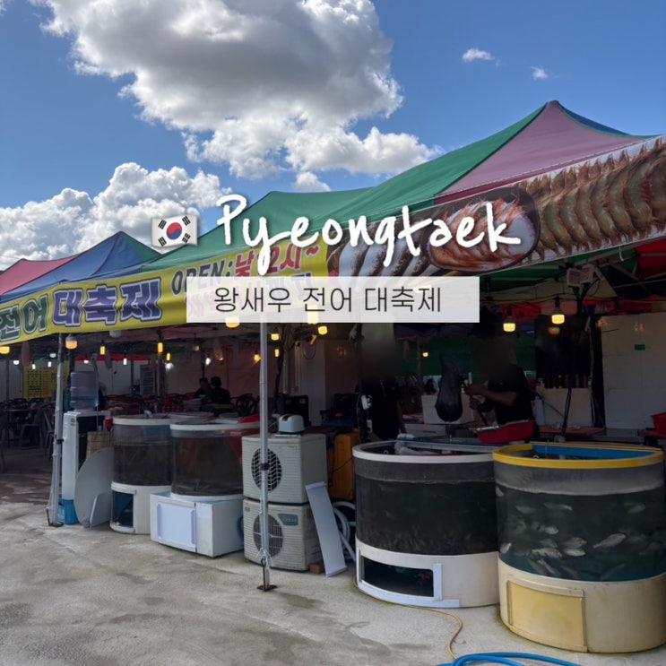  평택 대하구이 포장 왕새우 축제 만세로 야장 저울치기 실화? 절대비추!